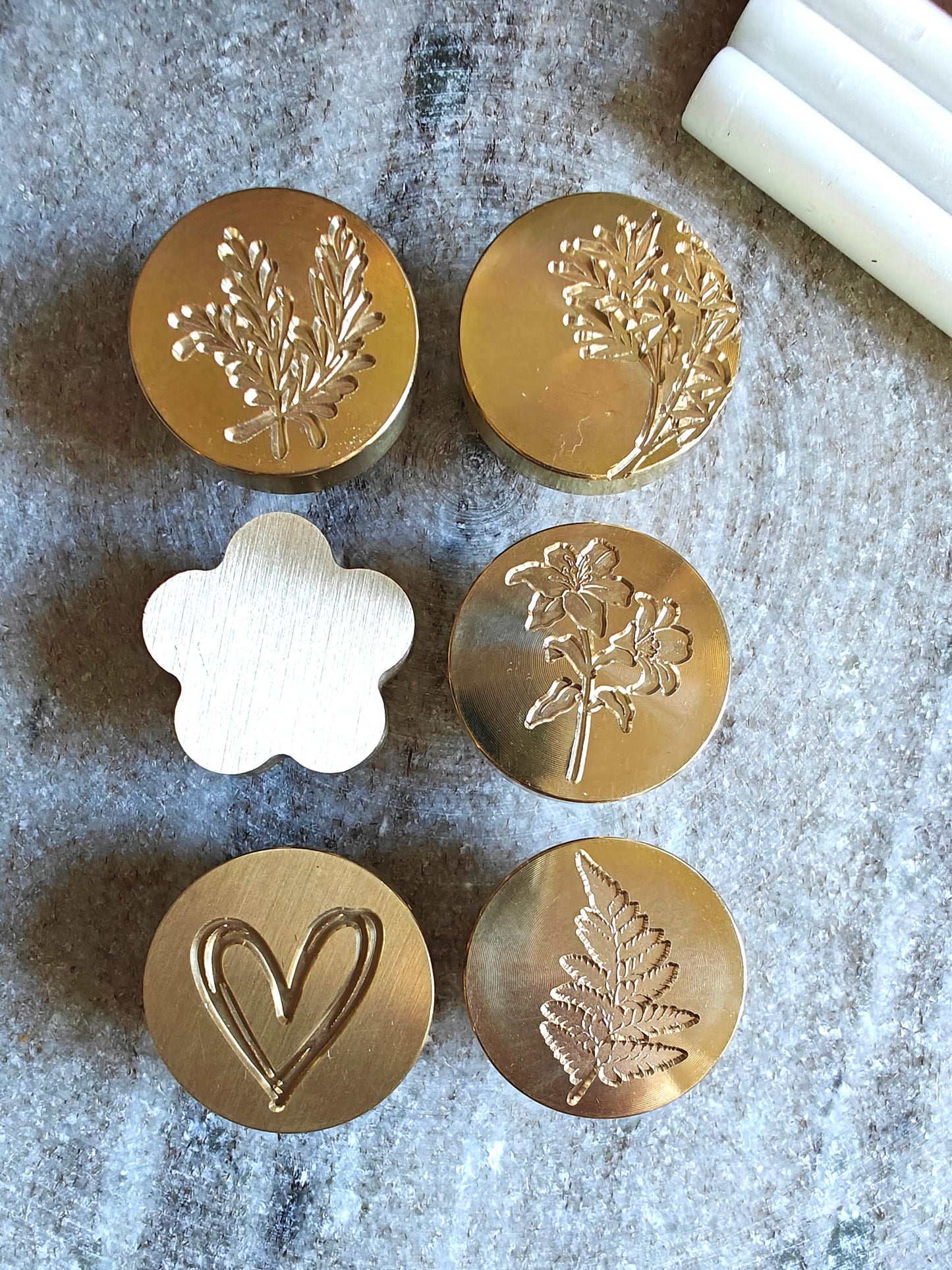 SAMPLE KIT ( muestras materiales)