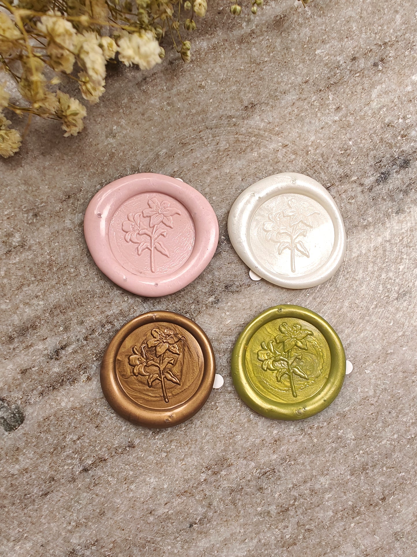 SAMPLE KIT ( muestras materiales)